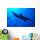 Spinner Dolphins Underwater, One Close-Up B1876 Wall Mural
