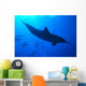 Spinner Dolphins Underwater, One Close-Up B1876 Wall Mural