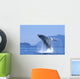 Alaska, Inside Passage, Humpback Whale Breaching B2006 Wall Mural