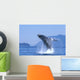 Alaska, Inside Passage, Humpback Whale Breaching B2006 Wall Mural