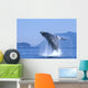 Alaska, Inside Passage, Humpback Whale Breaching B2006 Wall Mural