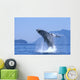 Alaska, Inside Passage, Humpback Whale Breaching B2006 Wall Mural