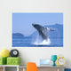 Alaska, Inside Passage, Humpback Whale Breaching B2006 Wall Mural