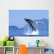 Alaska, Inside Passage, Humpback Whale Breaching B2006 Wall Mural