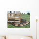 Deck Wall Decal