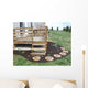 Deck Wall Decal