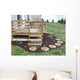 Deck Wall Decal