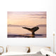 Alaska, Frederick Sound, Humpback Whale Fluke At Sunset B1988 Wall Mural