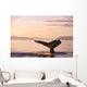 Alaska, Frederick Sound, Humpback Whale Fluke At Sunset B1988 Wall Mural