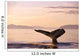 Alaska, Frederick Sound, Humpback Whale Fluke At Sunset B1988 Wall Mural