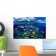 [Dc] Hawaii, Maui, Over/Under, Raccoon Butterflyfish B1929 Wall Mural