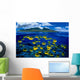 [Dc] Hawaii, Maui, Over/Under, Raccoon Butterflyfish B1929 Wall Mural