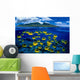 [Dc] Hawaii, Maui, Over/Under, Raccoon Butterflyfish B1929 Wall Mural