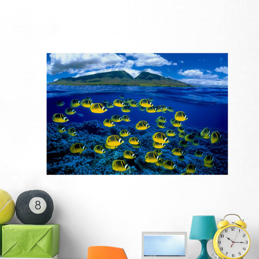 [Dc] Hawaii, Maui, Over/Under, Raccoon Butterflyfish B1929 Wall Mural