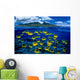 [Dc] Hawaii, Maui, Over/Under, Raccoon Butterflyfish B1929 Wall Mural
