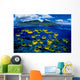 [Dc] Hawaii, Maui, Over/Under, Raccoon Butterflyfish B1929 Wall Mural