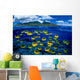 [Dc] Hawaii, Maui, Over/Under, Raccoon Butterflyfish B1929 Wall Mural