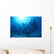 Hawaii, Schooling Orangespine Unicornfish Sunburst B1945 Wall Mural