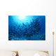 Hawaii, Schooling Orangespine Unicornfish Sunburst B1945 Wall Mural