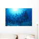 Hawaii, Schooling Orangespine Unicornfish Sunburst B1945 Wall Mural