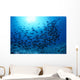 Hawaii, Schooling Orangespine Unicornfish Sunburst B1945 Wall Mural