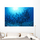 Hawaii, Schooling Orangespine Unicornfish Sunburst B1945 Wall Mural