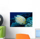 Hawaii, Ornate Butterflyfish B1941 Wall Mural
