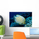 Hawaii, Ornate Butterflyfish B1941 Wall Mural