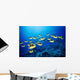 Hawaii, Schooling Raccoon Butterflyfish B1938 Wall Mural