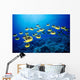 Hawaii, Schooling Raccoon Butterflyfish B1938 Wall Mural