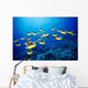 Hawaii, Schooling Raccoon Butterflyfish B1938 Wall Mural