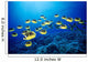 Hawaii, Schooling Raccoon Butterflyfish B1938 Wall Mural