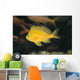 Hawaii, Deep Water Anthais [Pseudanthias Fuscipinnis] B1920 Wall Mural