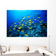Hawaii, Schooling Raccoon Butterflyfish B1913 Wall Mural