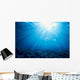 Hawaii, Sunburst Over Shallow Reef, B1902 Wall Mural