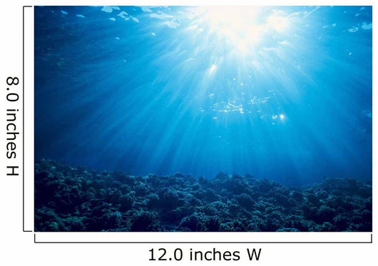 Hawaii, Sunburst Over Shallow Reef, B1902 Wall Mural