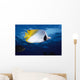 Hawaii, Maui, Threadfin Butterfly Fish, Close-Up, B1900 Wall Mural