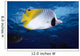 Hawaii, Maui, Threadfin Butterfly Fish, Close-Up, B1900 Wall Mural