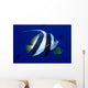 Hawaii, Pennant Butterflyfish Side View B1937 Wall Mural