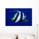 Hawaii, Pennant Butterflyfish Side View B1937 Wall Mural