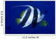 Hawaii, Pennant Butterflyfish Side View B1937 Wall Mural