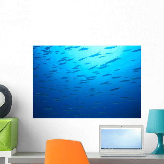 Hawaiian Reef Fish Silhouetted At Surface With Sunburst B1939 Wall Mural