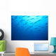 Hawaiian Reef Fish Silhouetted At Surface With Sunburst B1939 Wall Mural