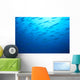 Hawaiian Reef Fish Silhouetted At Surface With Sunburst B1939 Wall Mural