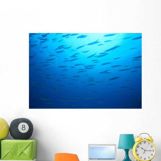 Hawaiian Reef Fish Silhouetted At Surface With Sunburst B1939 Wall Mural