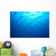 Hawaiian Reef Fish Silhouetted At Surface With Sunburst B1939 Wall Mural