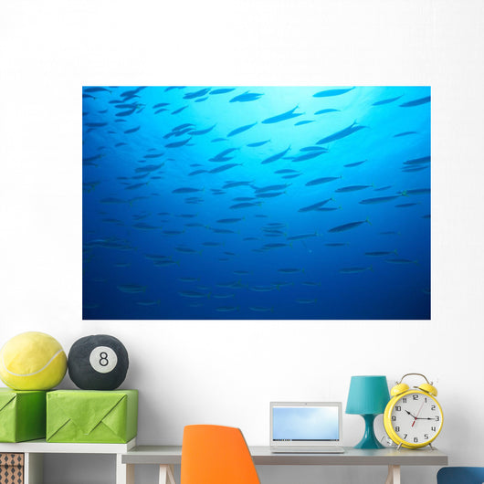 Hawaiian Reef Fish Silhouetted At Surface With Sunburst B1939 Wall Mural