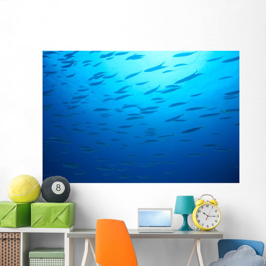 Hawaiian Reef Fish Silhouetted At Surface With Sunburst B1939 Wall Mural