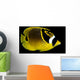 Hawaii, Raccoon Butterflyfish Close-Up B1936 Wall Mural