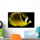 Hawaii, Raccoon Butterflyfish Close-Up B1936 Wall Mural